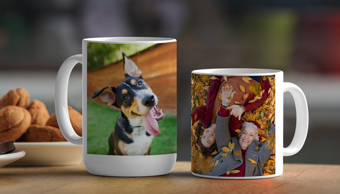 Dogs Make The Best Grandkids Mug